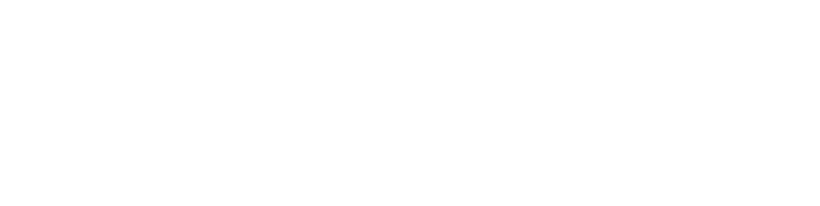 Water Damage 954 logo white