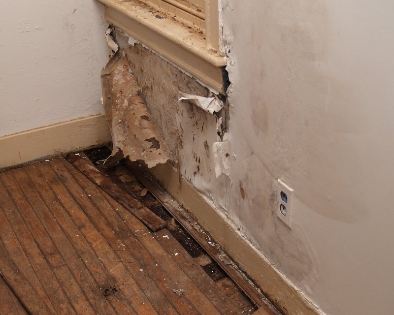 Water damage Restoration